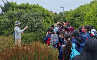 Students Learn About Groundwater at the Green Point Urban Park