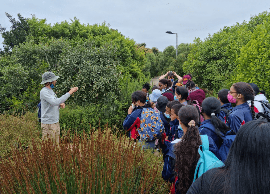 Students Learn About Groundwater at the Green Point Urban Park