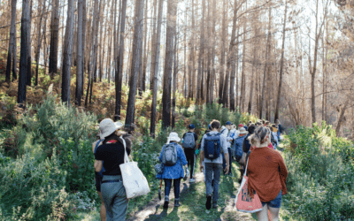 How Nature Benefits Our Well-Being and Health