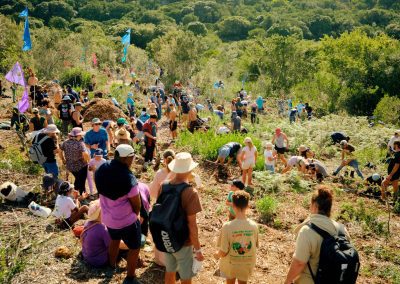 Reforest Fest 2025
