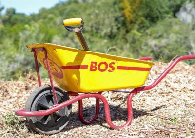 BOS