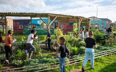 An oasis of potential: empowering Lavender Hill’s youth with Rise Above Development