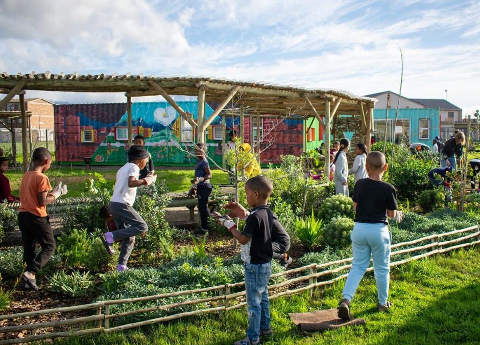 An oasis of potential: empowering Lavender Hill’s youth with Rise Above Development