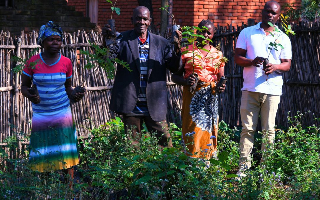 The Intersection Between Human and Ecological Health: The Mulanje Landscape Restoration Project