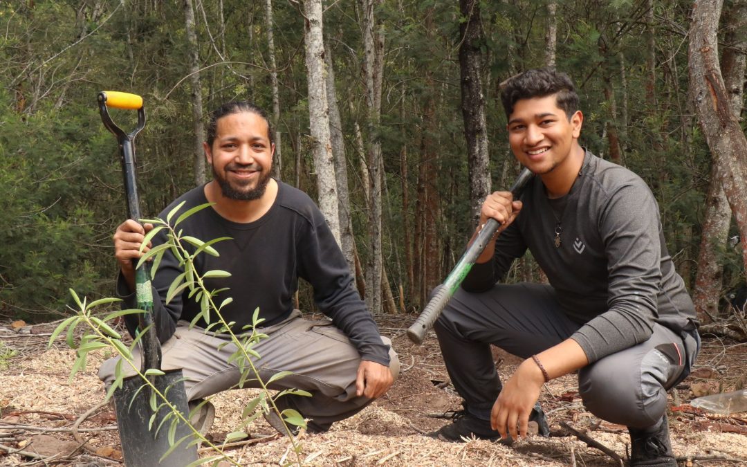 Ecological Investment in Bolstering the Garden Route’s Eco-Tourism Future: Greenpop’s Khoinania Forest Restoration Project