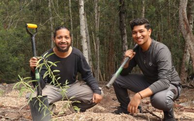 Ecological Investment in Bolstering the Garden Route’s Eco-Tourism Future: Greenpop’s Khoinania Forest Restoration Project