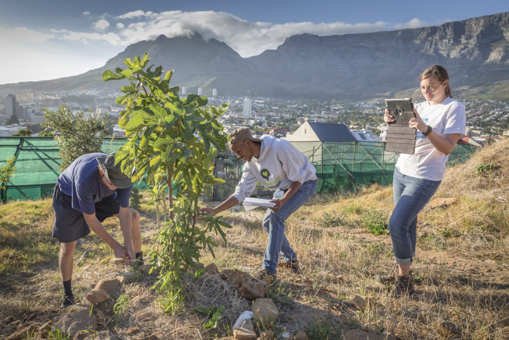 Intern in Cape Town Greenpop
