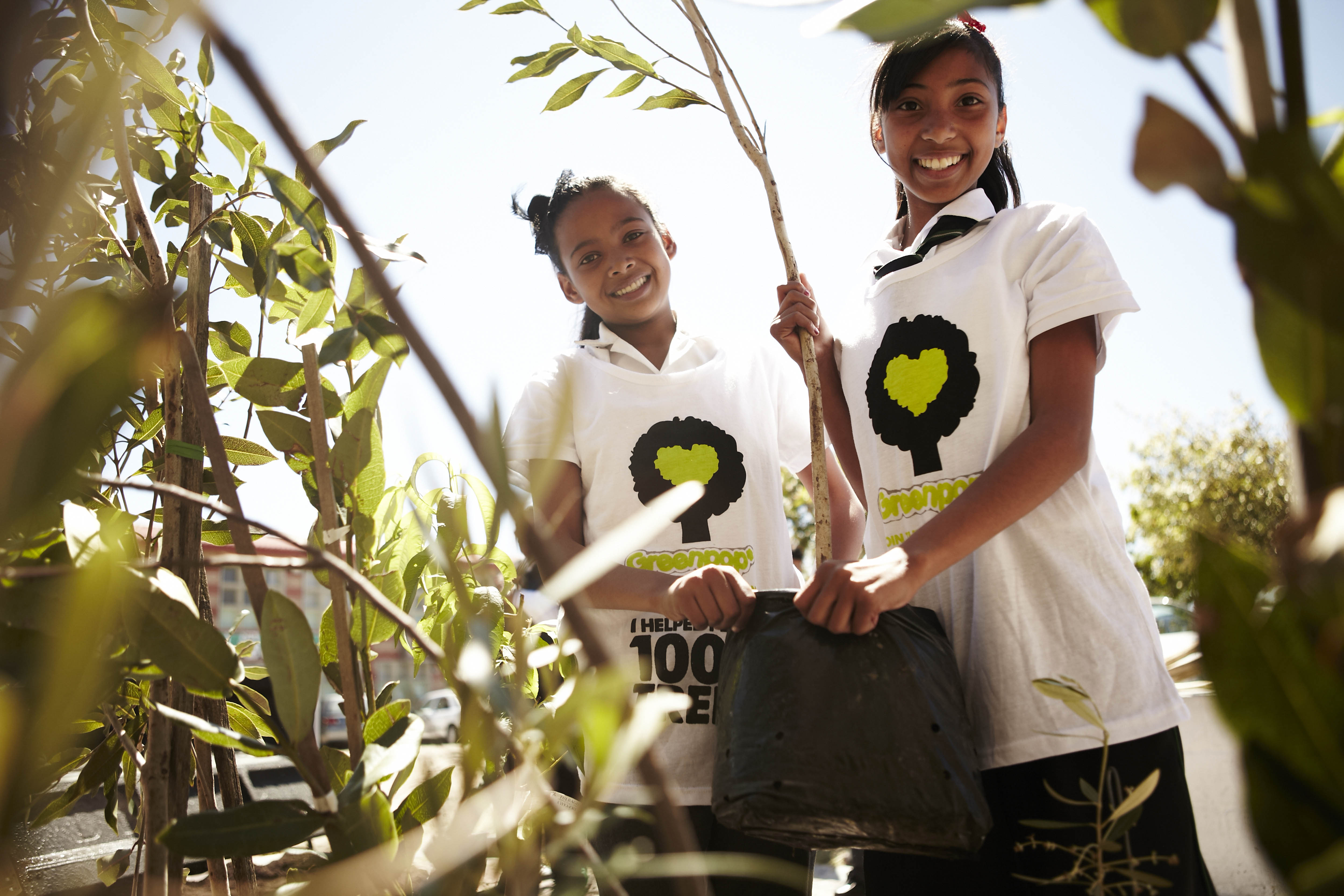 Volunteer Opportunities in Cape Town Greenpop