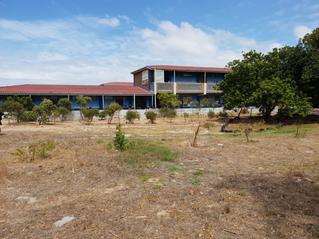 highlands-primary-school-greenpop