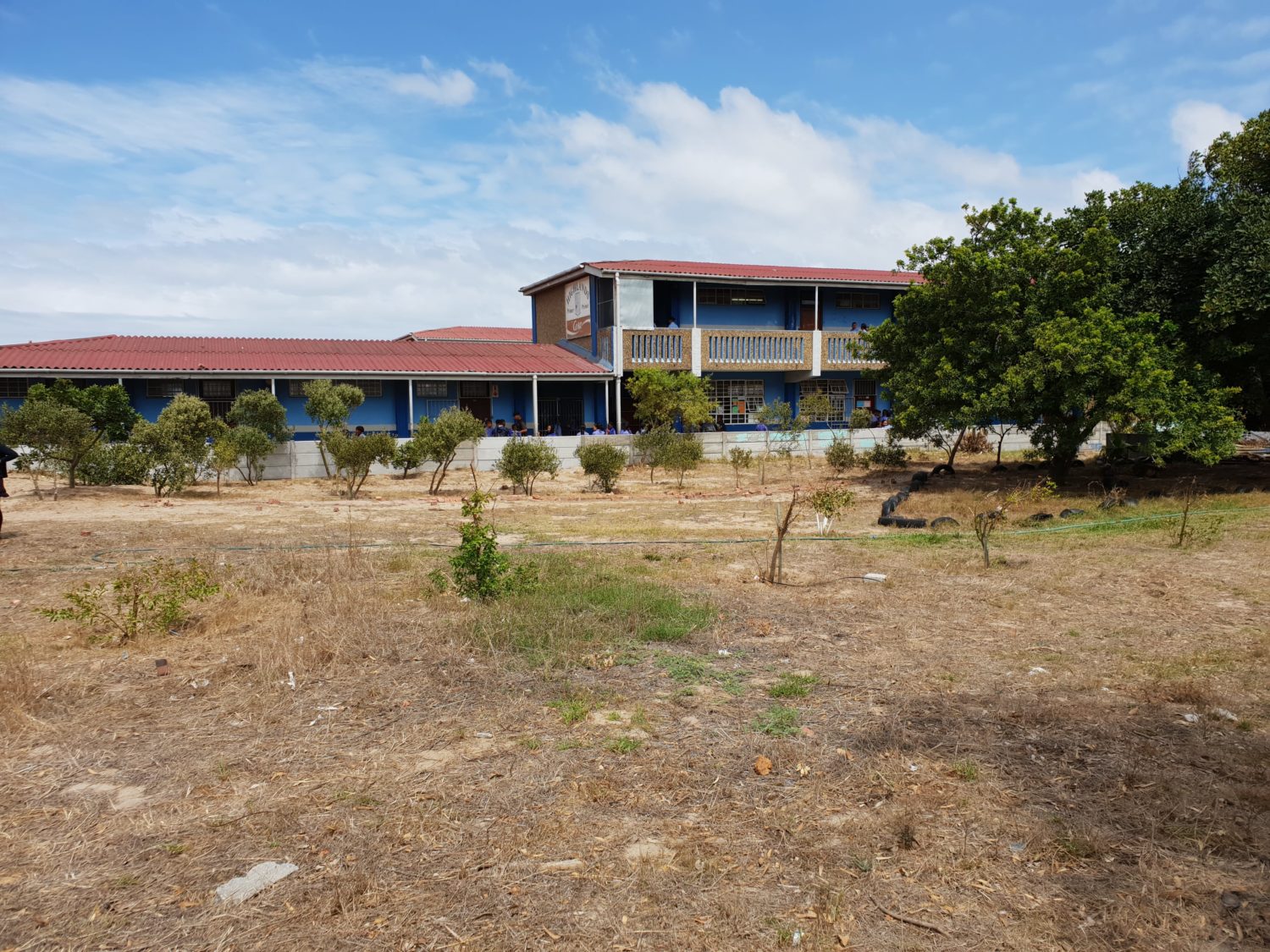 Cape Town Urban Greening Programme