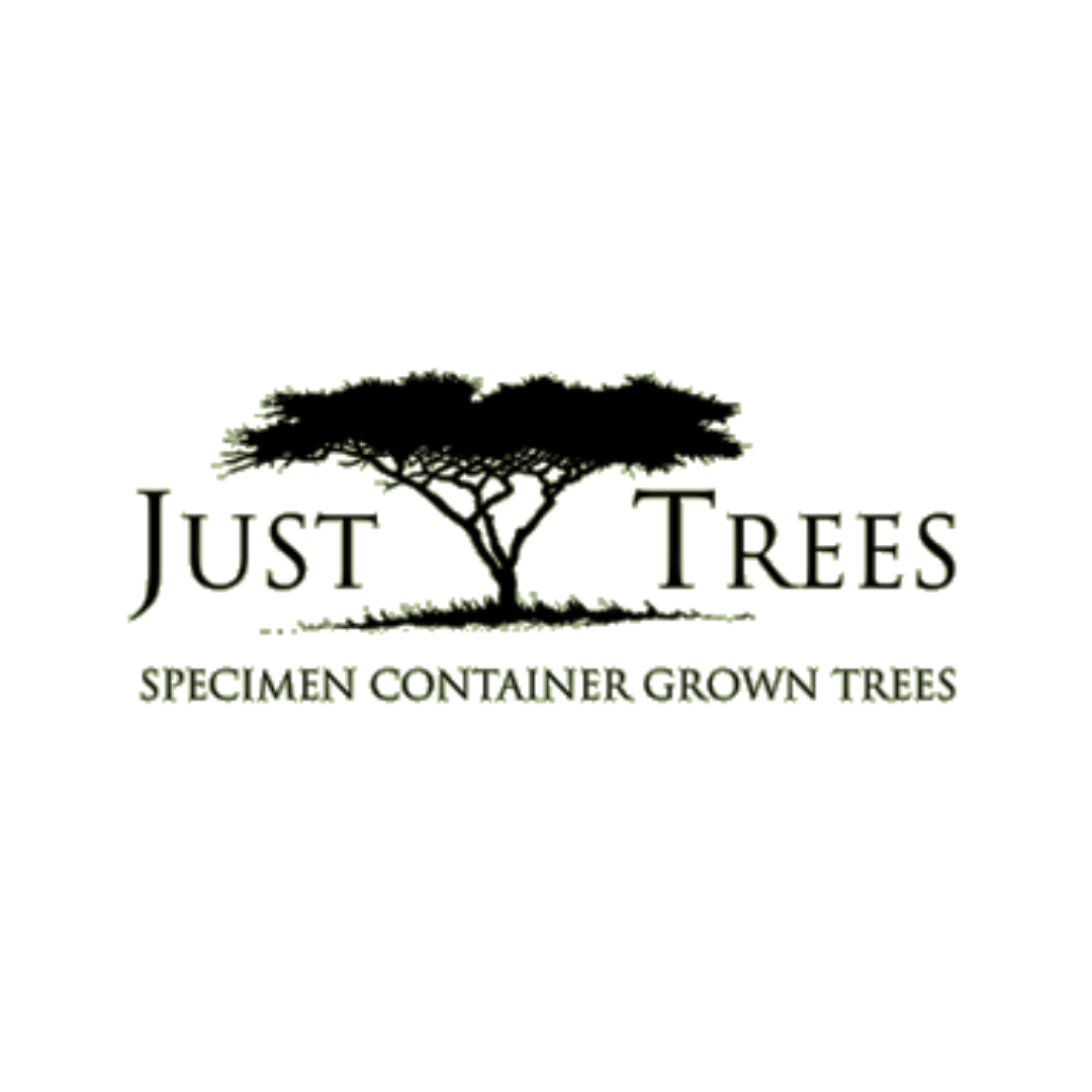 Just Trees