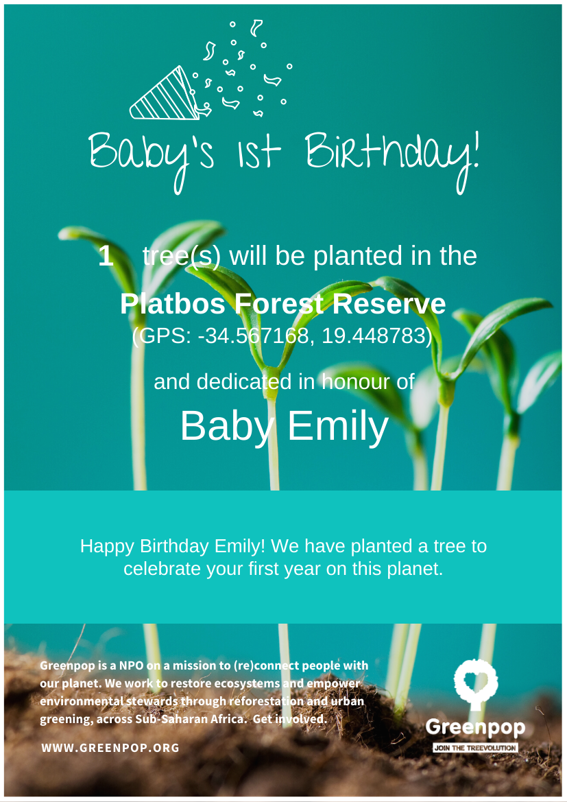 Tree Certificate - Baby's 1st Birthday