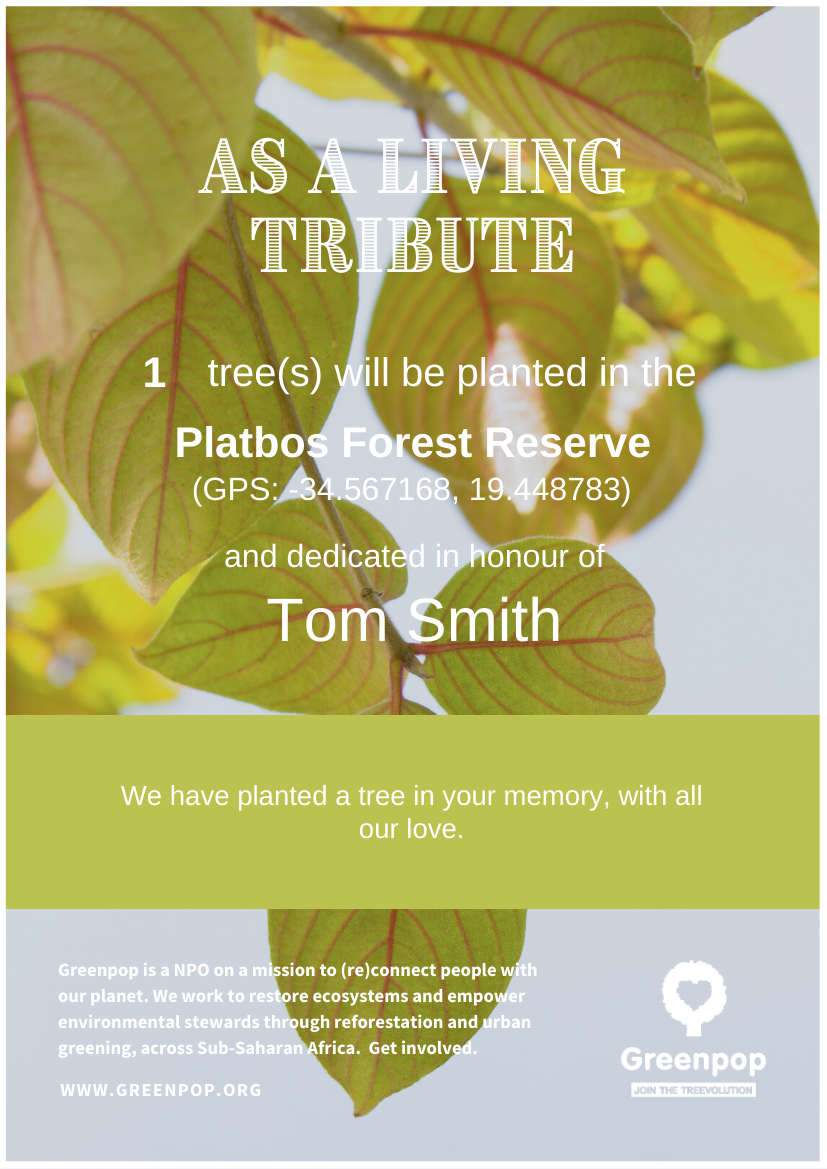 Tree Certificate - As a Living Tribute