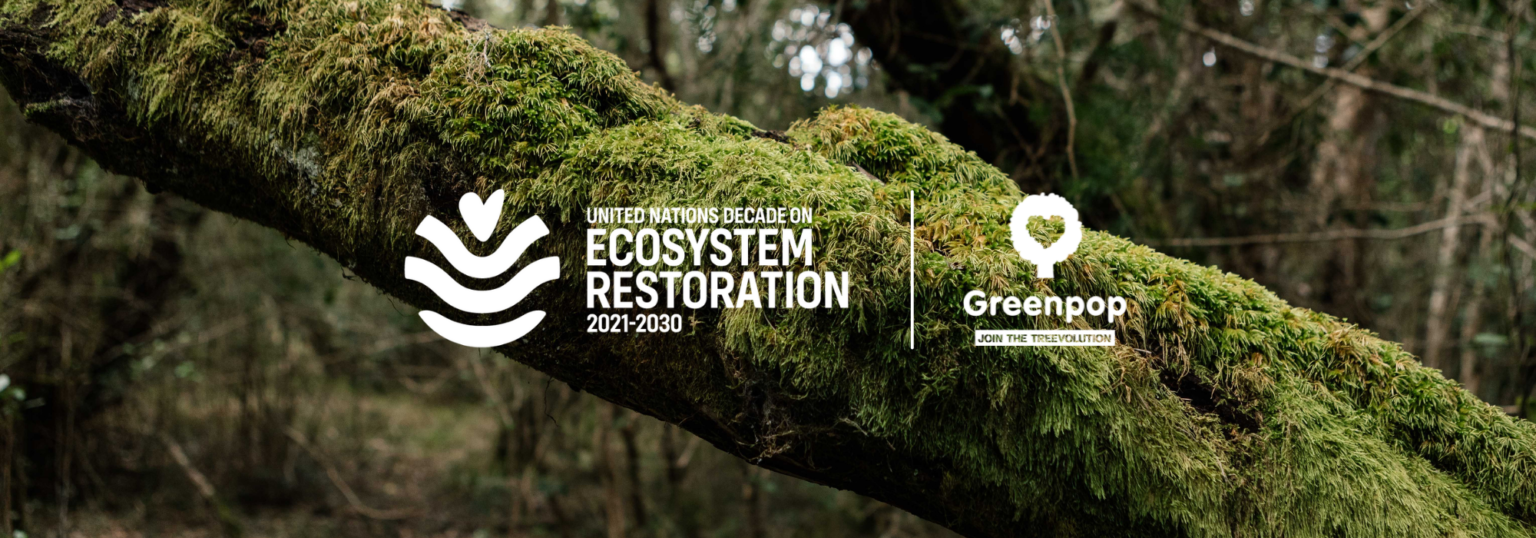 United Nations Decade On Ecosystem Restoration - Greenpop