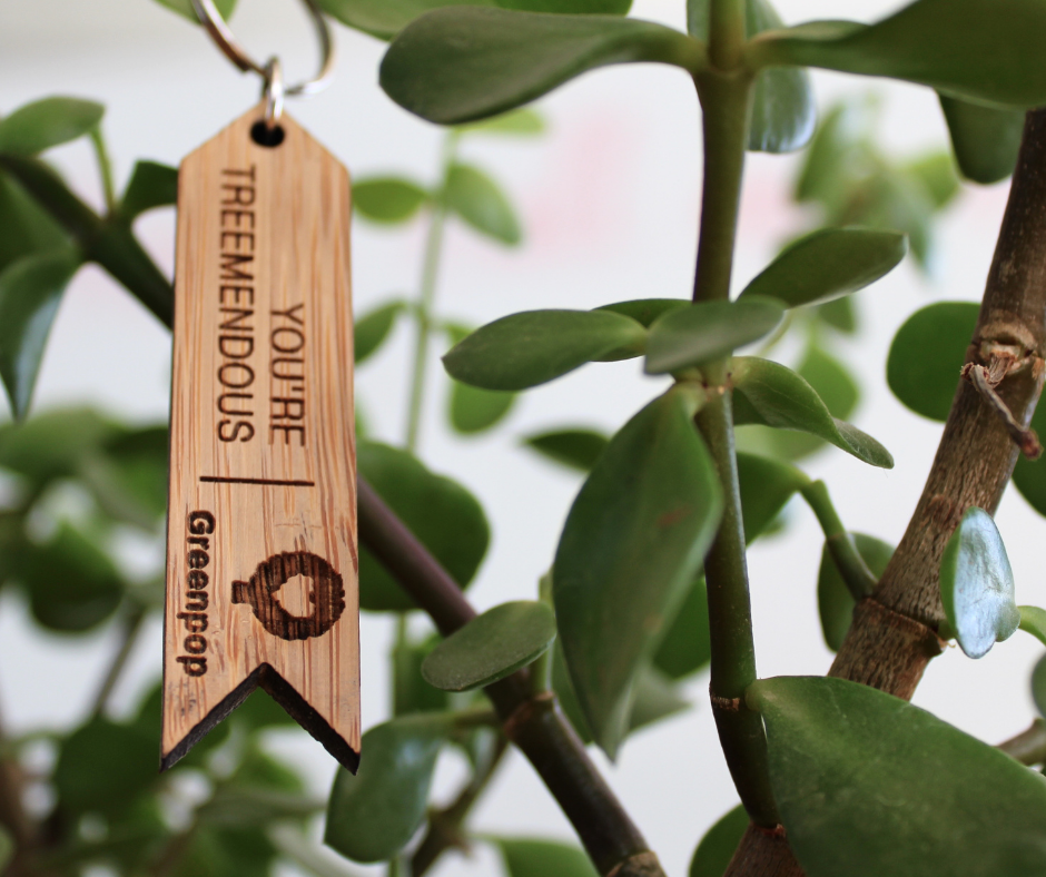 Greenpop Company Tree Ring Gift