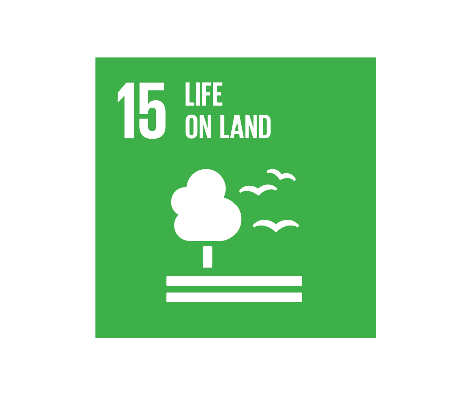 UN Sustainable Development Goals 