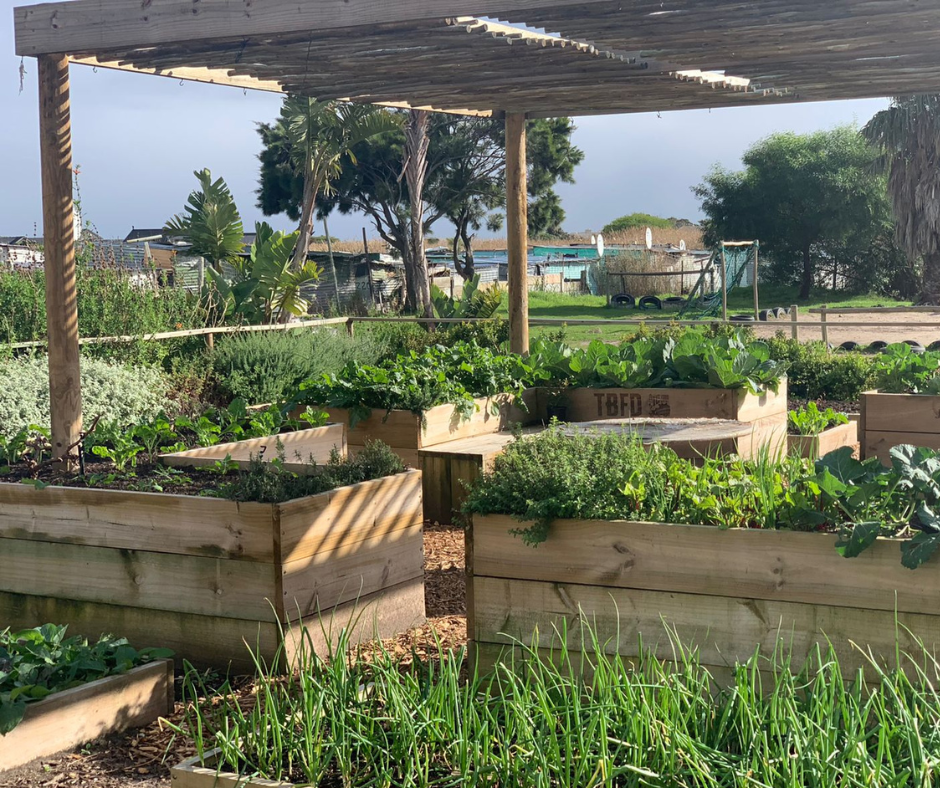 COMMUNITY GARDENS