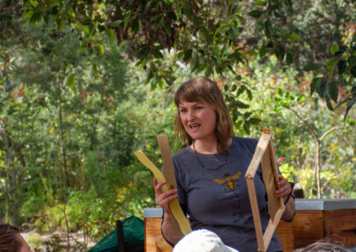 Natural beekeeping workshop