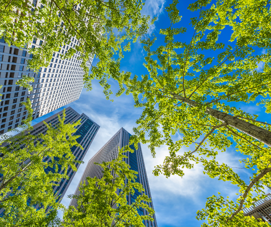 what-is-urban-greening-and-does-it-make-a-difference-greenpop