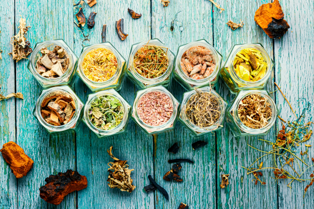 Herbal Medicine The Healing Power of Plants Greenpop