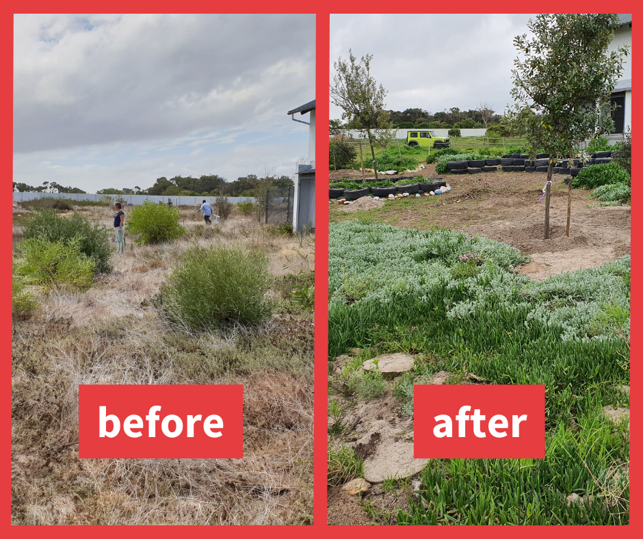 Greenpop Fynbos For the Future