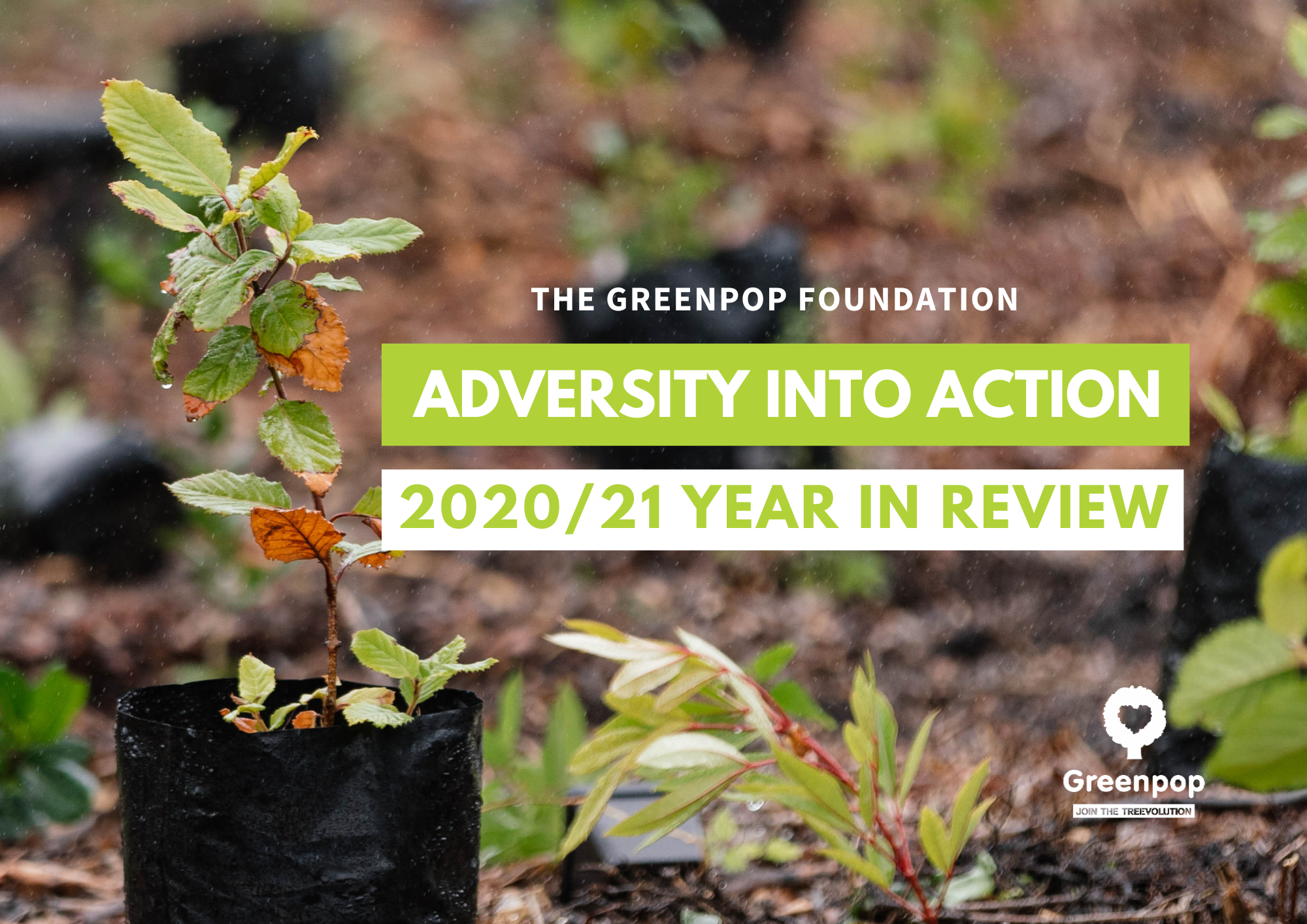 Greenpop annual report 2020/21