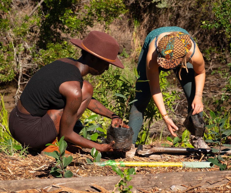 Greenpop Reforest Fest tree planting 