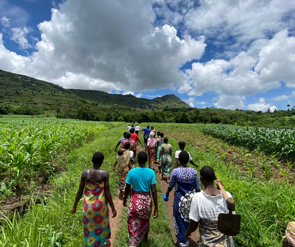 malawi