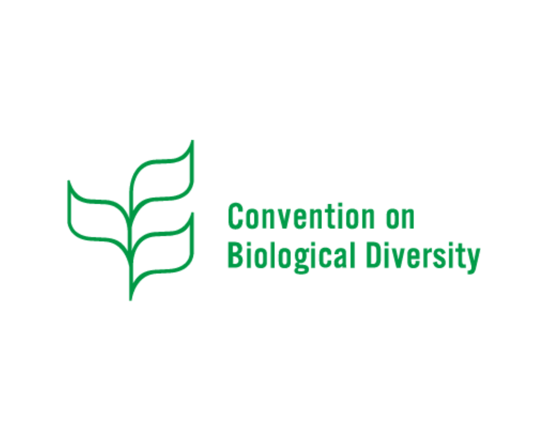 Post-2020 Biodiversity Framework