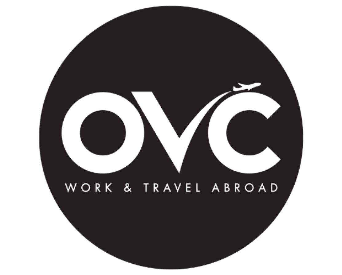 website logo