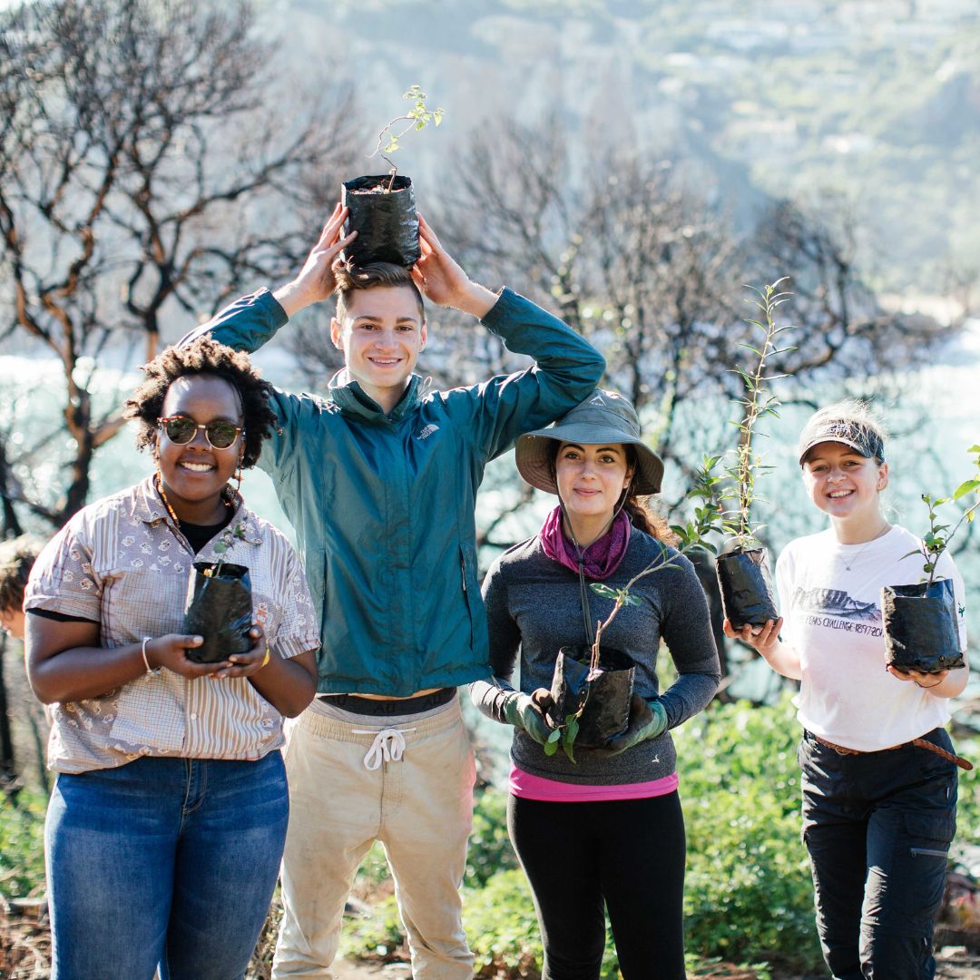Greenpop Interns