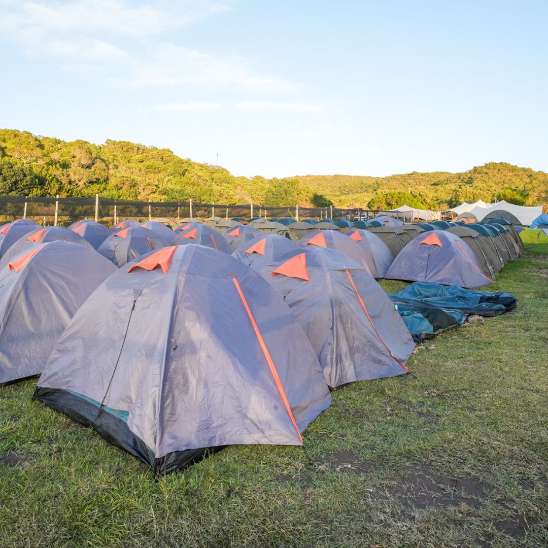 reforest fest