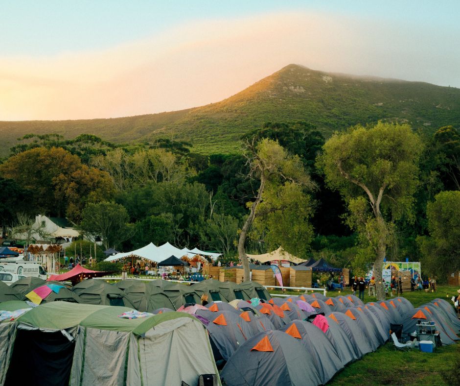Reforest Fest