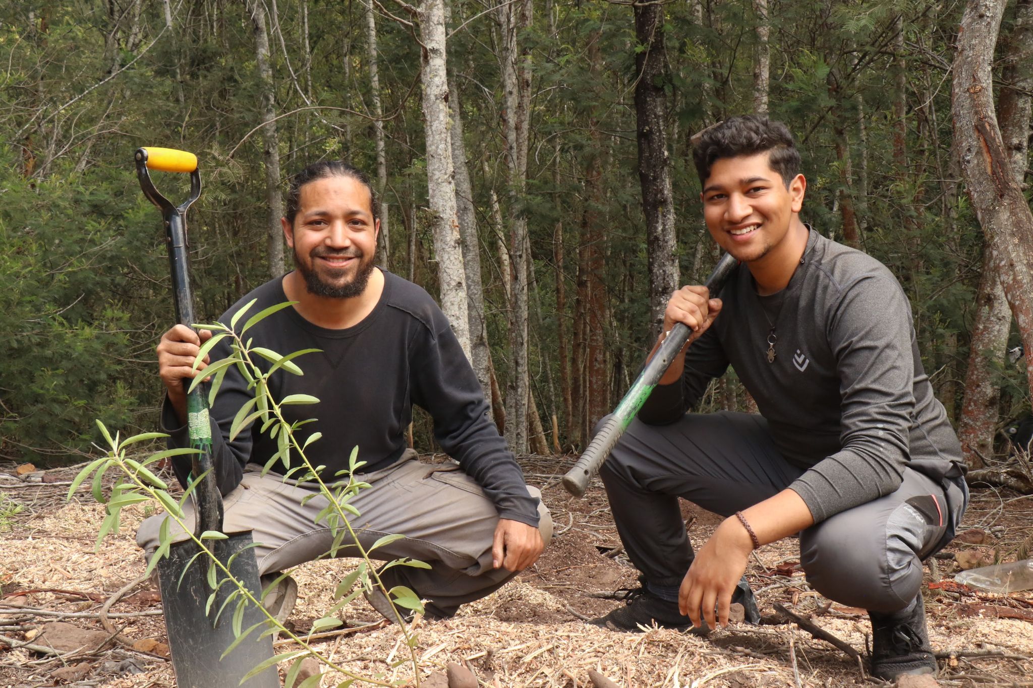 website images crop (in between text) Khoinania