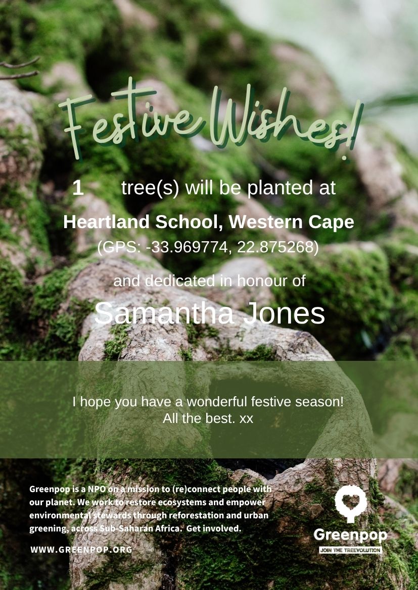 2 festive tree certificate