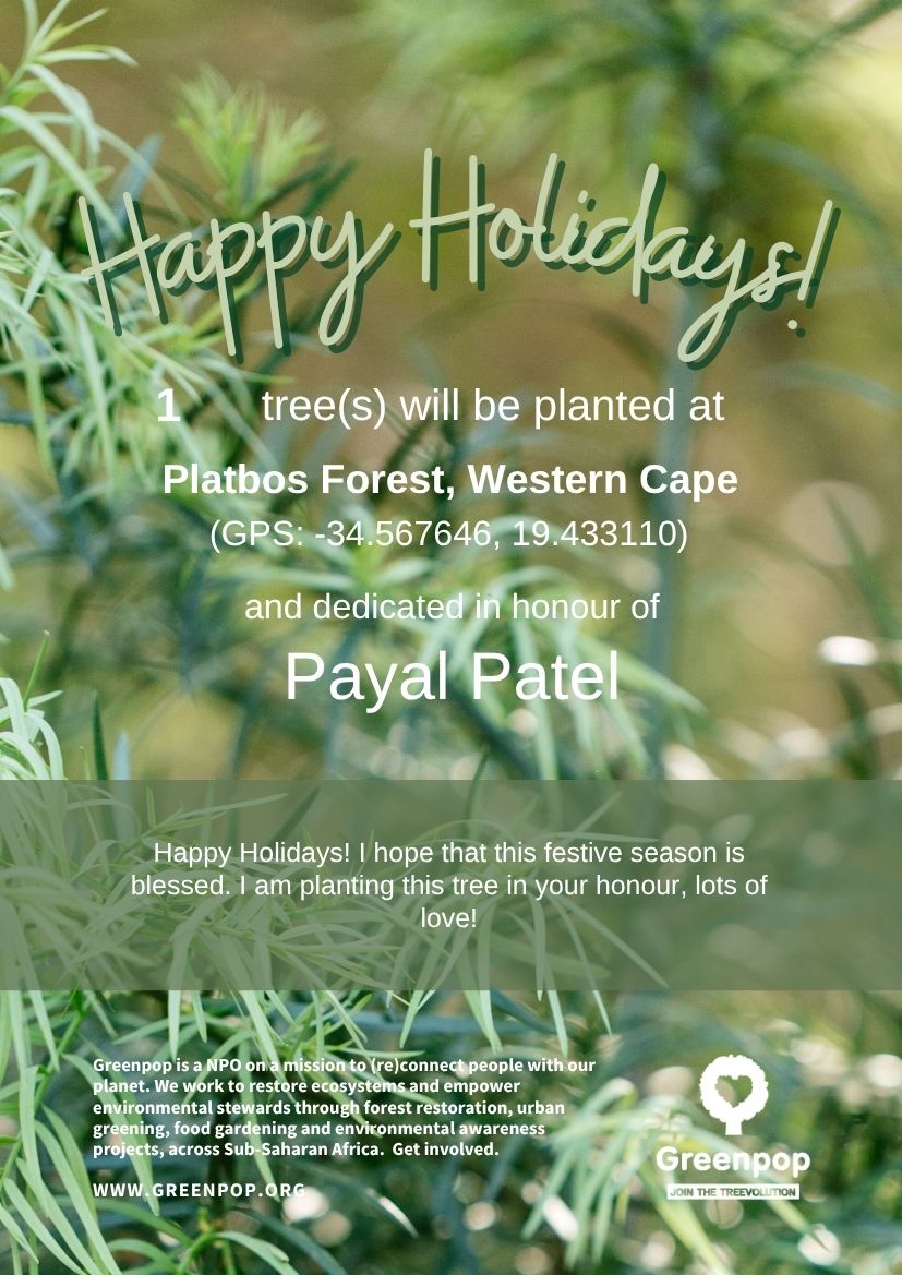 3 festive tree certificate