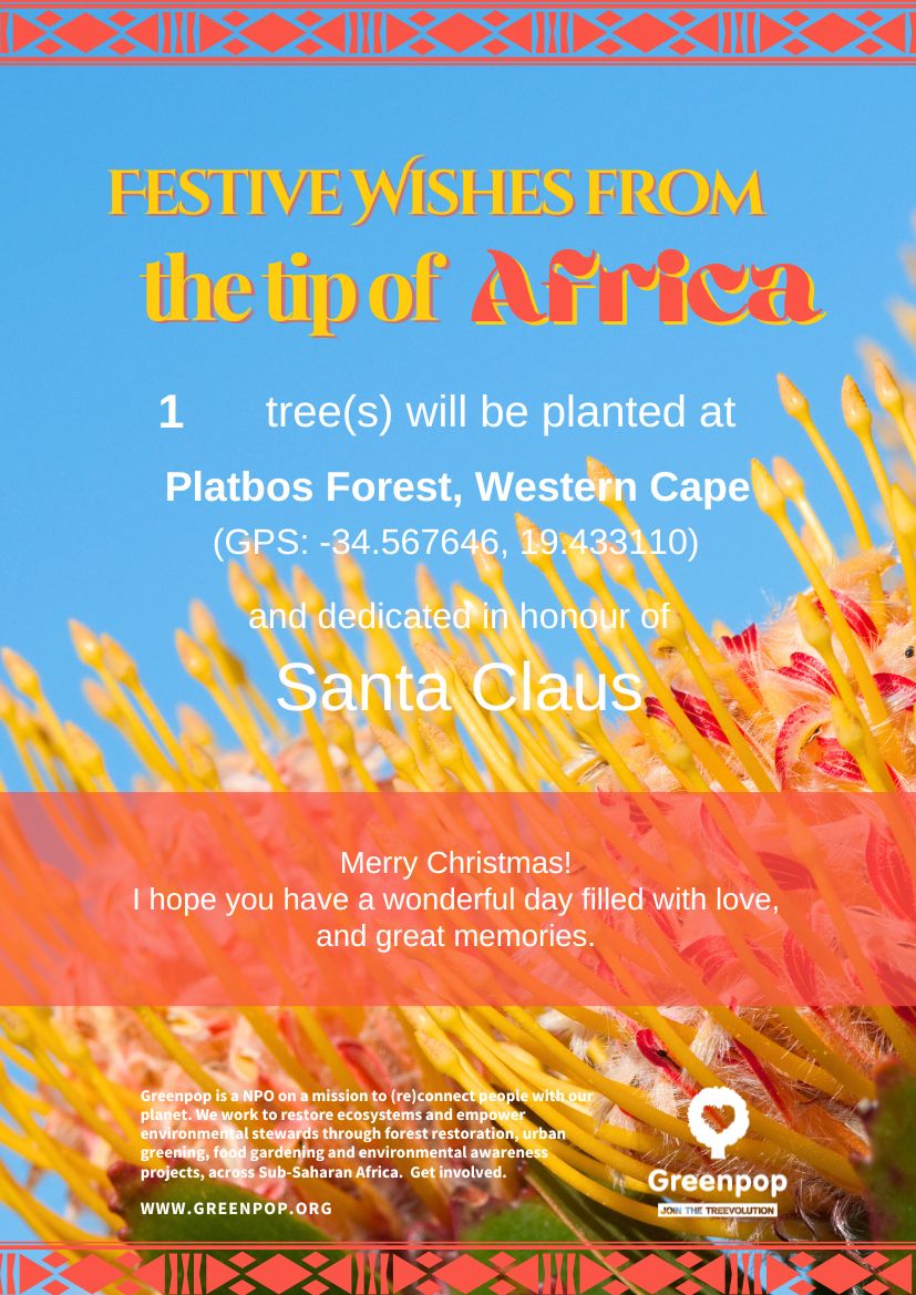 9 festive tree certificate